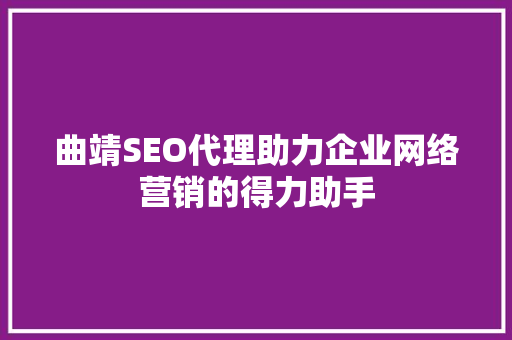 曲靖SEO代理助力企业网络营销的得力助手