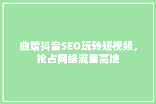 曲靖抖音SEO玩转短视频，抢占网络流量高地