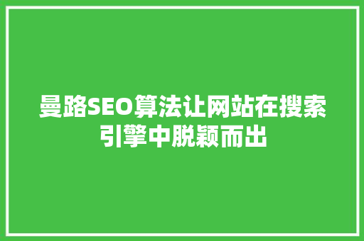 曼路SEO算法让网站在搜索引擎中脱颖而出