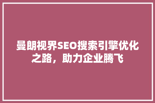 曼朗视界SEO搜索引擎优化之路，助力企业腾飞