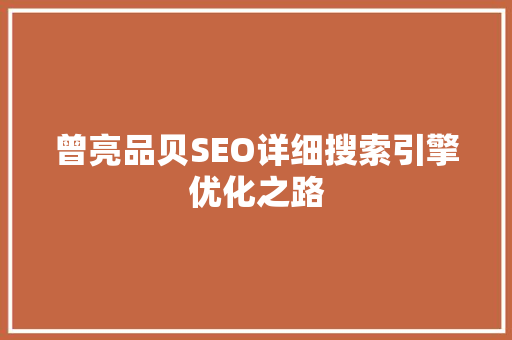 曾亮品贝SEO详细搜索引擎优化之路