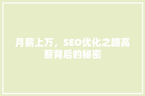 月薪上万，SEO优化之路高薪背后的秘密