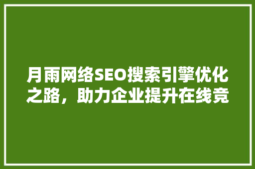 月雨网络SEO搜索引擎优化之路，助力企业提升在线竞争力