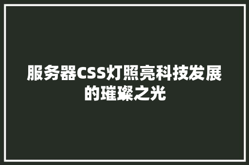 服务器CSS灯照亮科技发展的璀璨之光