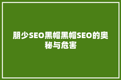 朋少SEO黑帽黑帽SEO的奥秘与危害