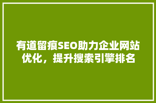 有道留痕SEO助力企业网站优化，提升搜索引擎排名