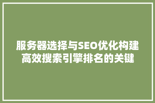 服务器选择与SEO优化构建高效搜索引擎排名的关键