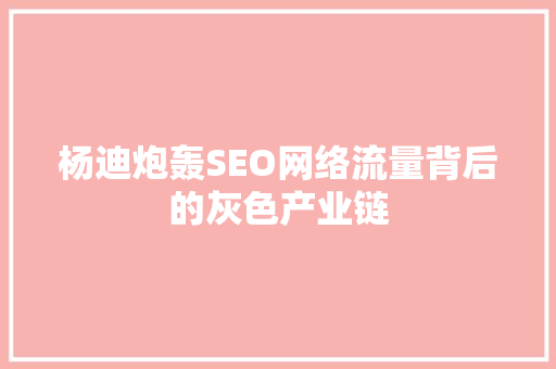 杨迪炮轰SEO网络流量背后的灰色产业链