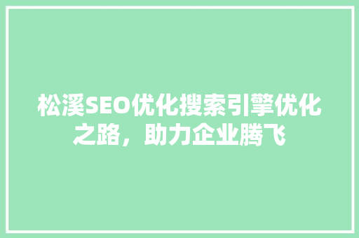 松溪SEO优化搜索引擎优化之路，助力企业腾飞