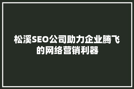 松溪SEO公司助力企业腾飞的网络营销利器