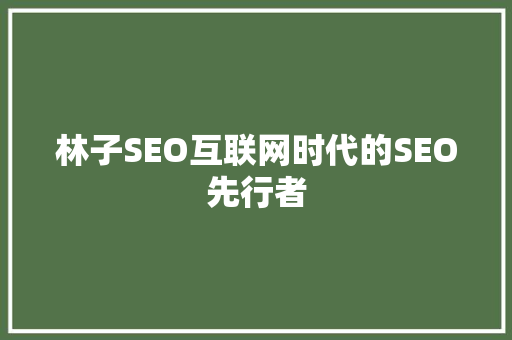 林子SEO互联网时代的SEO先行者