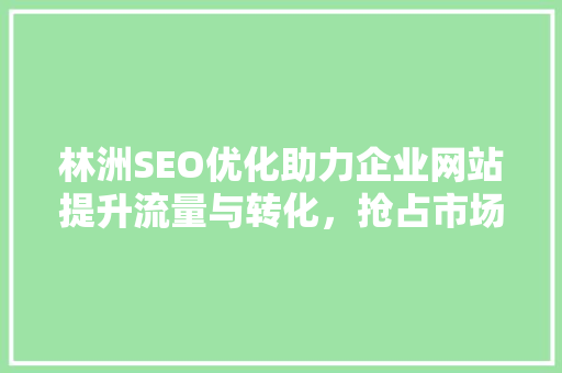 林洲SEO优化助力企业网站提升流量与转化，抢占市场先机