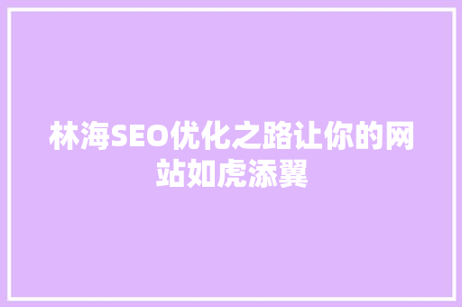 林海SEO优化之路让你的网站如虎添翼