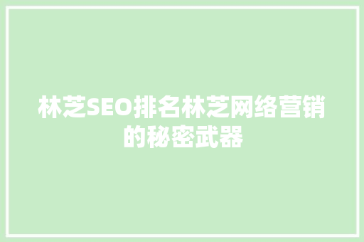 林芝SEO排名林芝网络营销的秘密武器