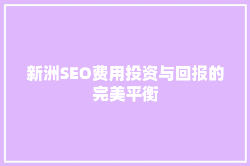 新洲SEO费用投资与回报的完美平衡