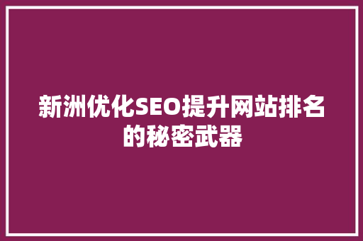 新洲优化SEO提升网站排名的秘密武器