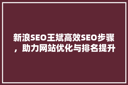 新浪SEO王斌高效SEO步骤，助力网站优化与排名提升