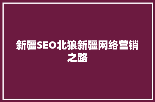 新疆SEO北狼新疆网络营销之路