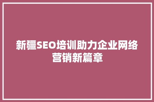 新疆SEO培训助力企业网络营销新篇章