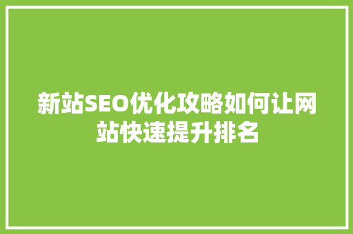 新站SEO优化攻略如何让网站快速提升排名