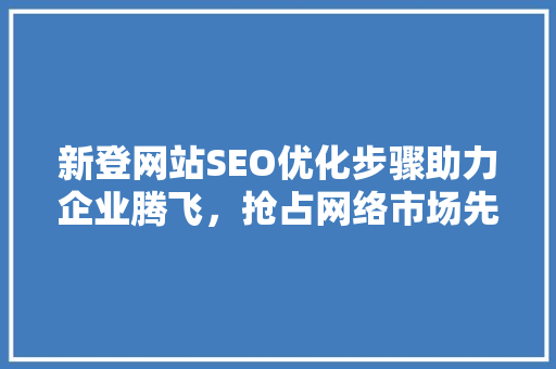 新登网站SEO优化步骤助力企业腾飞，抢占网络市场先机