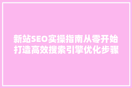 新站SEO实操指南从零开始打造高效搜索引擎优化步骤