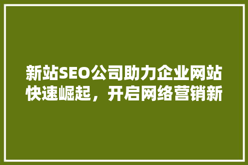 新站SEO公司助力企业网站快速崛起，开启网络营销新篇章