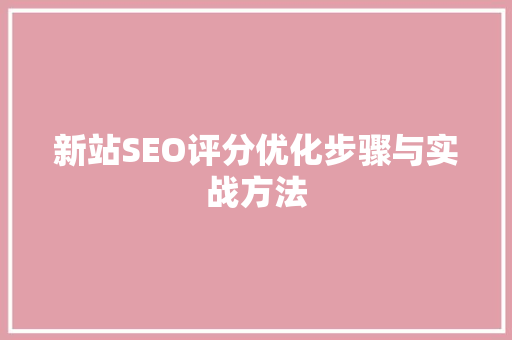 新站SEO评分优化步骤与实战方法