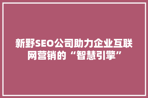 新野SEO公司助力企业互联网营销的“智慧引擎”