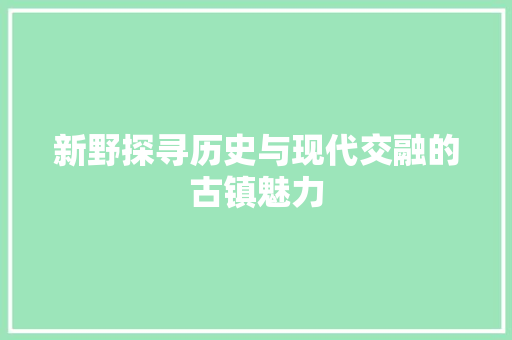 新野探寻历史与现代交融的古镇魅力