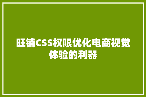 旺铺CSS权限优化电商视觉体验的利器