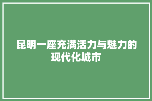 昆明一座充满活力与魅力的现代化城市