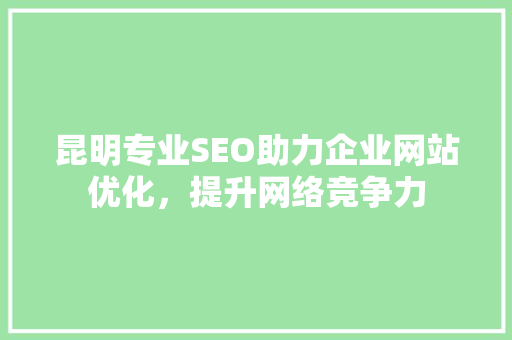 昆明专业SEO助力企业网站优化，提升网络竞争力