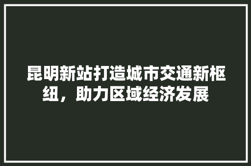 昆明新站打造城市交通新枢纽，助力区域经济发展