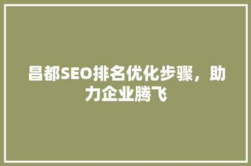 昌都SEO排名优化步骤，助力企业腾飞