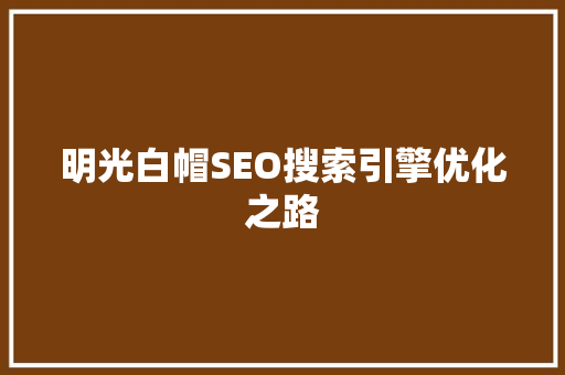 明光白帽SEO搜索引擎优化之路