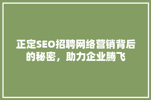 正定SEO招聘网络营销背后的秘密，助力企业腾飞