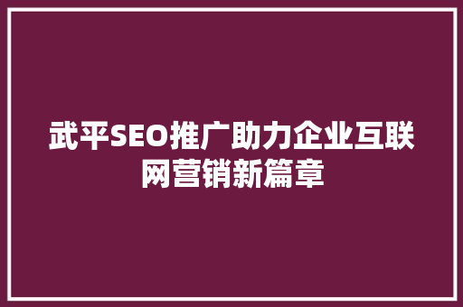 武平SEO推广助力企业互联网营销新篇章