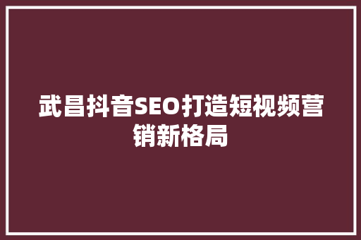 武昌抖音SEO打造短视频营销新格局