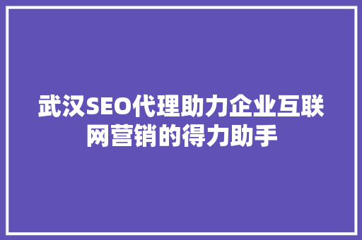 武汉SEO代理助力企业互联网营销的得力助手