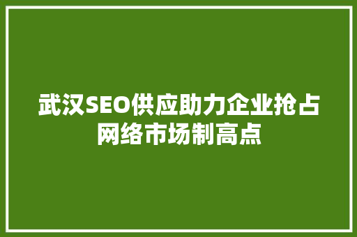 武汉SEO供应助力企业抢占网络市场制高点