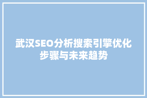 武汉SEO分析搜索引擎优化步骤与未来趋势