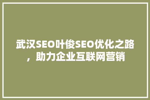 武汉SEO叶俊SEO优化之路，助力企业互联网营销