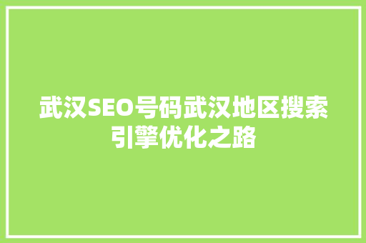 武汉SEO号码武汉地区搜索引擎优化之路