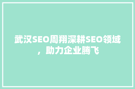 武汉SEO周翔深耕SEO领域，助力企业腾飞