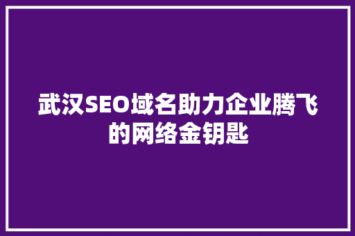 武汉SEO域名助力企业腾飞的网络金钥匙