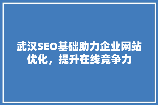 武汉SEO基础助力企业网站优化，提升在线竞争力