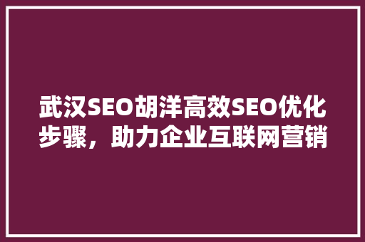 武汉SEO胡洋高效SEO优化步骤，助力企业互联网营销