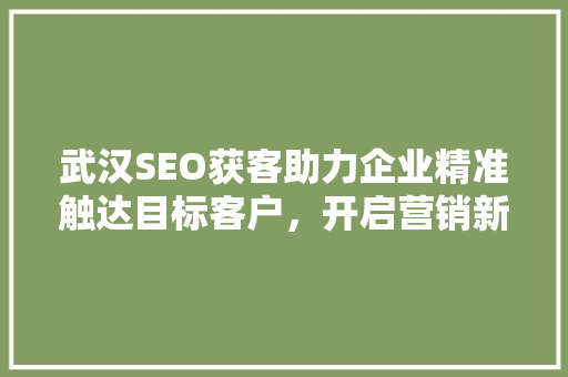 武汉SEO获客助力企业精准触达目标客户，开启营销新篇章