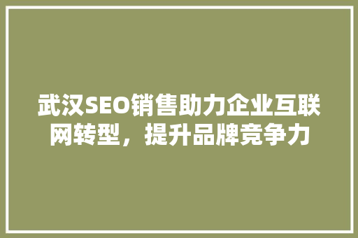 武汉SEO销售助力企业互联网转型，提升品牌竞争力